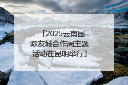 2025云南国际友城合作周主题活动在昆明举行