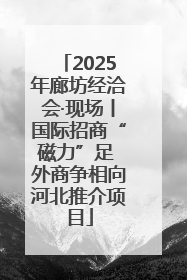 2025年廊坊经洽会·现场丨国际招商“磁力”足 外商争相向河北推介项目