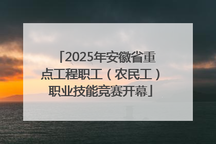 2025年安徽省重点工程职工（农民工）职业技能竞赛开幕