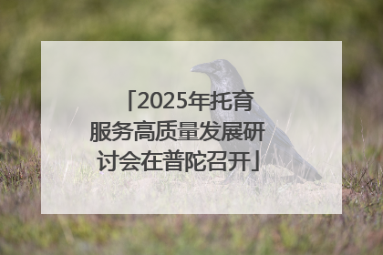 2025年托育服务高质量发展研讨会在普陀召开