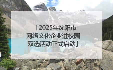 2025年沈阳市网络文化企业进校园双选活动正式启动