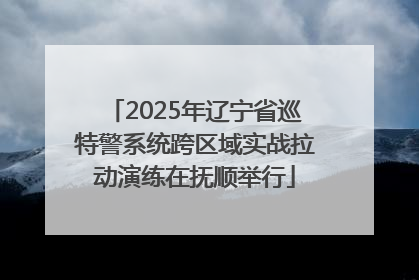 2025年辽宁省巡特警系统跨区域实战拉动演练在抚顺举行