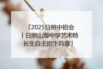 2025日照中招会丨日照山海中学艺术特长生自主招生简章