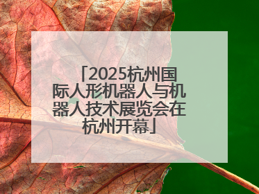 2025杭州国际人形机器人与机器人技术展览会在杭州开幕