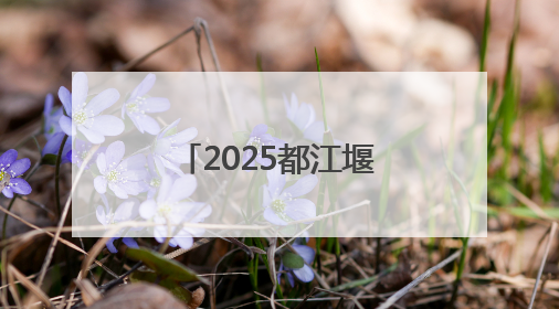 2025都江堰“好嗨啤”消夏夜啤美食季启幕