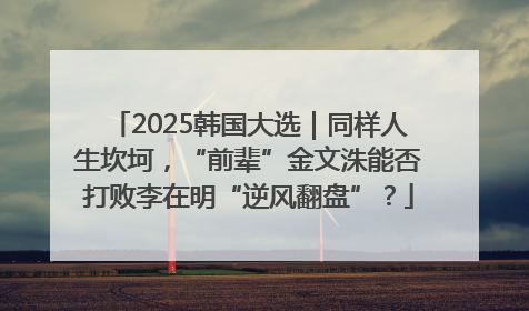 2025韩国大选｜同样人生坎坷，“前辈”金文洙能否打败李在明“逆风翻盘”？