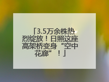 3.5万余株热烈绽放！日照这座高架桥变身“空中花廊”！