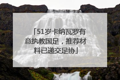 51岁卡纳瓦罗有意执教国足，推荐材料已递交足协