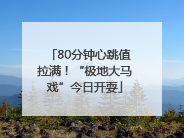 80分钟心跳值拉满！“极地大马戏”今日开耍