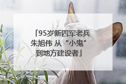 95岁新四军老兵朱旭伟 从“小鬼”到地方建设者