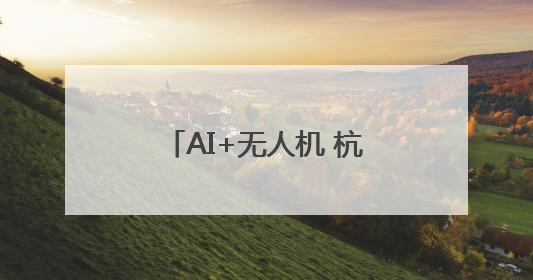 AI+无人机 杭州天空里也有了城市治理的“帮手”