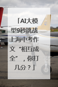 AI大模型9秒挑战上海中考作文“相互成全”，你打几分？