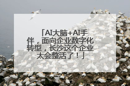 AI大脑+AI手伴，面向企业数字化转型，长沙这个企业太会整活了！