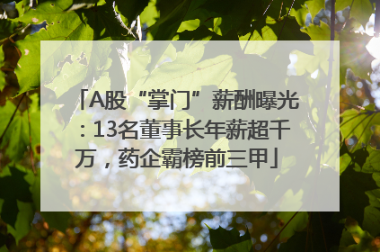 A股“掌门”薪酬曝光：13名董事长年薪超千万，药企霸榜前三甲