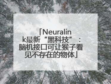 Neuralink最新“黑科技”：脑机接口可让猴子看见不存在的物体